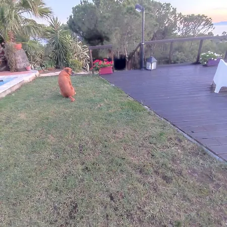 Apartmán Con Piscina Sul Mare Sud Sardegna